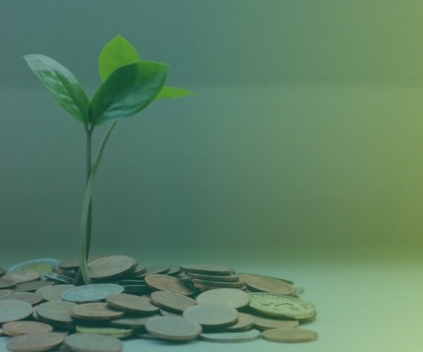 Pflanze wächst aus Geld heraus