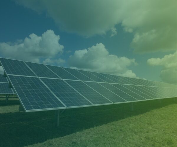 Photovoltaikplantage mit blauem Himmel